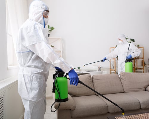 Home disinfection service