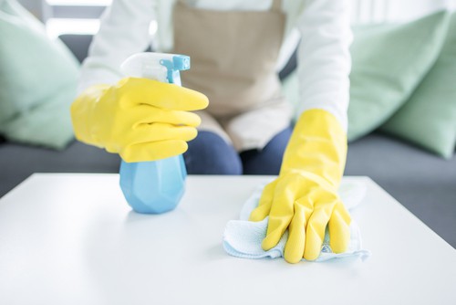 Eco-Friendly Cleaning Options For Post-Party Cleanup
